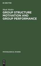 Group Structure Motivation and Group Performance