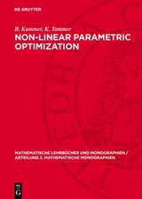Non-Linear Parametric Optimization