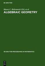 Algebraic Geometry: A Volume in Memory of Paolo Francia