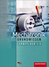 Mechatronik / Produktionstechnologie 1. Lernfelder 1-5: Schulbuch. Grundwissen