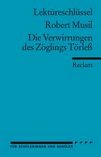 Die Verwirrungen des Zöglings Törleß. Lektüreschlüssel für Schüler