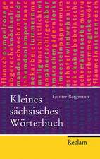 Bergmann, G: Kleines sächsisches Wörterbuch