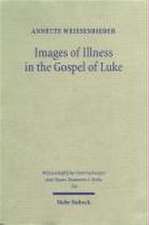 Images of Illness in the Gospel of Luke