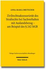 Zivilrechtsakzessorietat Des Strafrechts Bei Sachverhalten Mit Auslandsbezug - Am Beispiel Des 242 Stgb: Bausteine Einer Europaischen Grundrechtstheorie