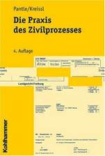 Die Praxis Des Zivilprozesses: Methodengestutzte Entwicklung Zielgruppenspezifischer Produktinnovationen