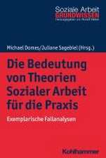 Die Bedeutung von Theorien Sozialer Arbeit für die Praxis