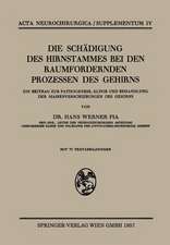 Die Schädigung des Hirnstammes bei den Raumfordernden Prozessen des Gehirns: Ein Beitrag zur Pathogenese, Klinik und Behandlung der Massenverschiebungen des Gehirns