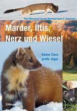 Marder, Iltis, Nerz und Wiesel