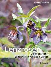 Lenzrosen