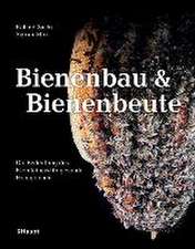 Bienenbau und Bienenbeute