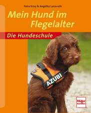 Mein Hund im Flegelalter