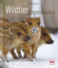 Wildtierimpressionen