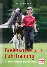 Bodenarbeit und Führtraining