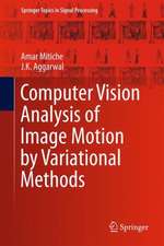 Computer Vision Analysis of Image Motion by Variational Methods