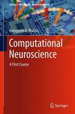 Computational Neuroscience: A First Course