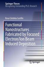 Functional Nanostructures Fabricated by Focused Electron/Ion Beam Induced Deposition