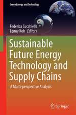 Sustainable Future Energy Technology and Supply Chains: A Multi-perspective Analysis