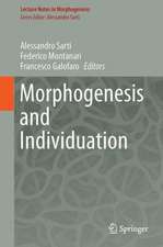 Morphogenesis and Individuation