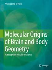 Molecular Origins of Brain and Body Geometry: Plato's Concept of Reality is Reversed