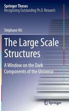 The Large Scale Structures