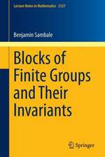 Blocks of Finite Groups and Their Invariants