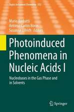 Photoinduced Phenomena in Nucleic Acids I