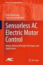 Sensorless AC Electric Motor Control: Robust Advanced Design Techniques and Applications