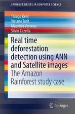 Real time deforestation detection using ANN and Satellite images: The Amazon Rainforest study case