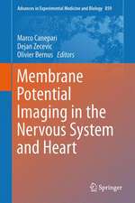 Membrane Potential Imaging in the Nervous System and Heart