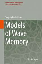 Models of Wave Memory