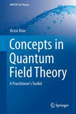 Concepts in Quantum Field Theory: A Practitioner's Toolkit