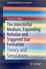 The Interstellar Medium, Expanding Nebulae and Triggered Star Formation: Theory and Simulations