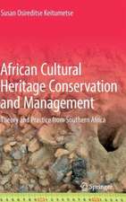 African Cultural Heritage Conservation and Management: Theory and Practice from Southern Africa