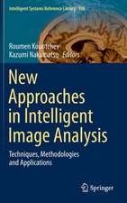 New Approaches in Intelligent Image Analysis: Techniques, Methodologies and Applications