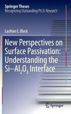 New Perspectives on Surface Passivation: Understanding the Si-Al2O3 Interface