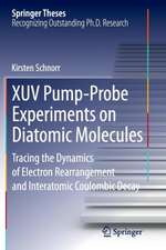 XUV Pump-Probe Experiments on Diatomic Molecules: Tracing the Dynamics of Electron Rearrangement and Interatomic Coulombic Decay