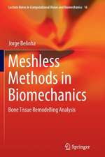 Meshless Methods in Biomechanics: Bone Tissue Remodelling Analysis