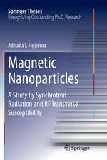 Magnetic Nanoparticles: A Study by Synchrotron Radiation and RF Transverse Susceptibility