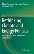 Rethinking Climate and Energy Policies: New Perspectives on the Rebound Phenomenon