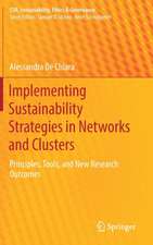 Implementing Sustainability Strategies in Networks and Clusters: Principles, Tools, and New Research Outcomes