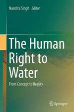 The Human Right to Water: From Concept to Reality