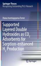 Supported Layered Double Hydroxides as CO2 Adsorbents for Sorption-enhanced H2 Production