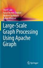 Large-Scale Graph Processing Using Apache Giraph