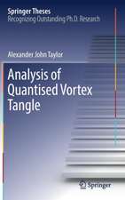 Analysis of Quantised Vortex Tangle