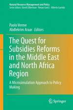 The Quest for Subsidy Reforms in the Middle East and North Africa Region: A Microsimulation Approach to Policy Making