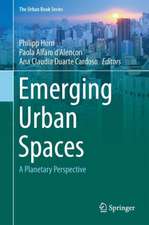 Emerging Urban Spaces: A Planetary Perspective