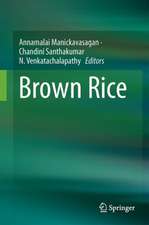 Brown Rice