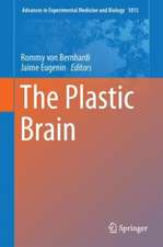 The Plastic Brain