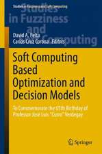 Soft Computing Based Optimization and Decision Models: To Commemorate the 65th Birthday of Professor José Luis 