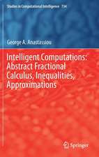 Intelligent Computations: Abstract Fractional Calculus, Inequalities, Approximations